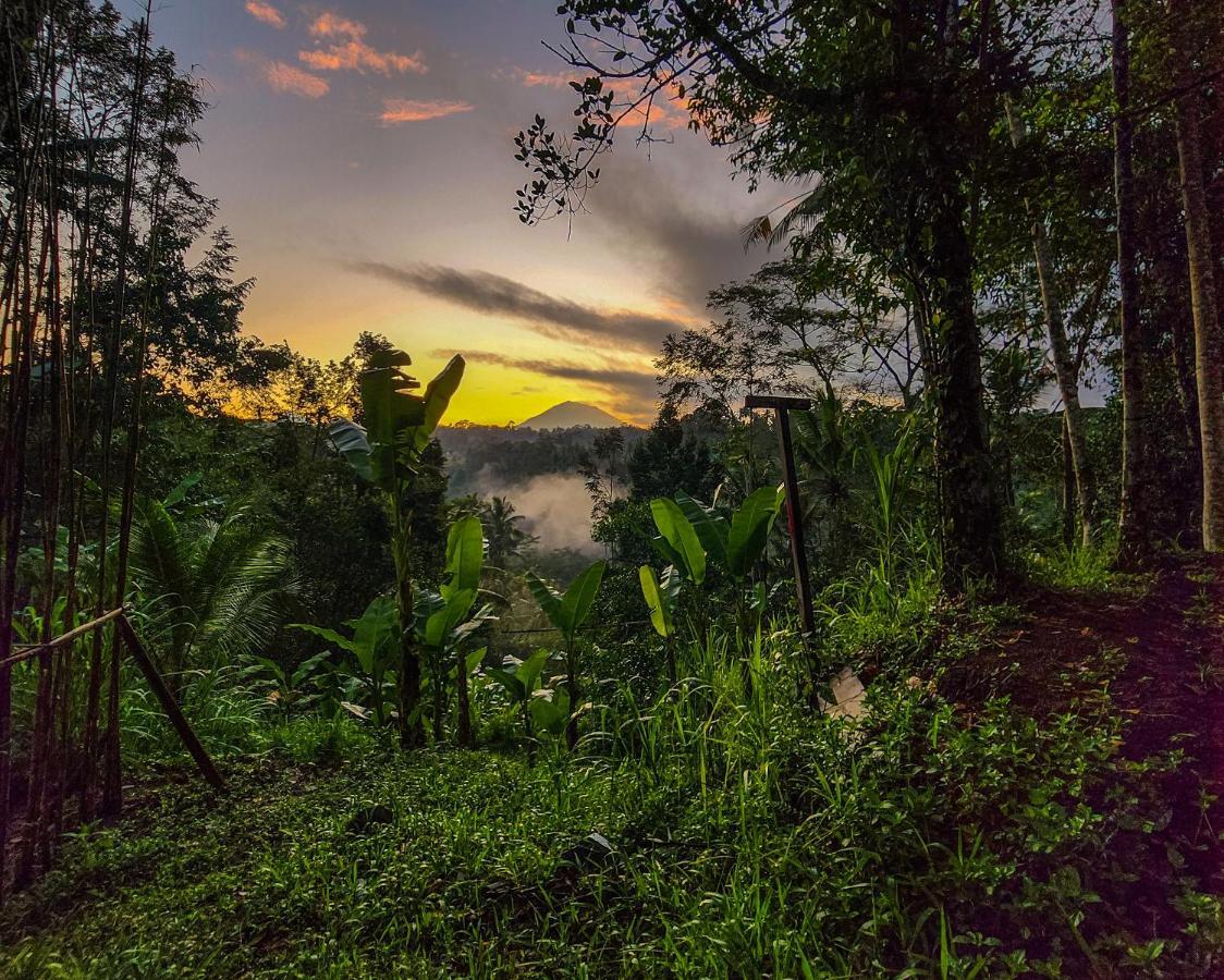 Delta Casa Ubud-Cozy Tropical Villas With Volcano View Payangan Esterno foto